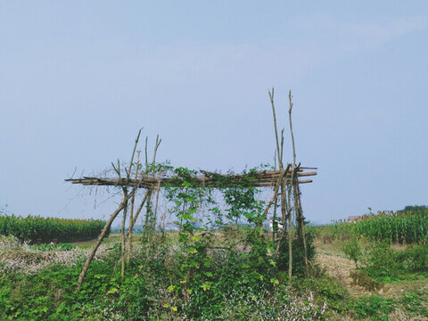 農(nóng)地