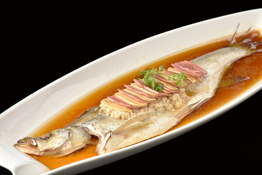 大白水魚(yú)