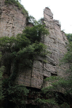 龍?zhí)洞髰{谷