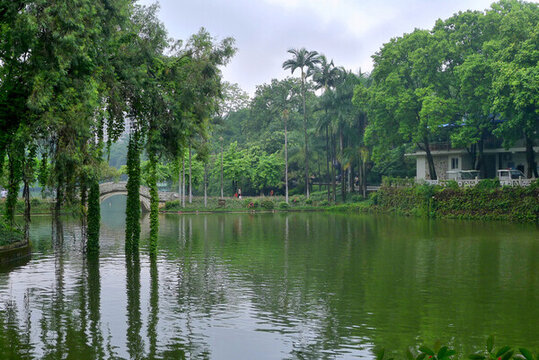 公園景觀湖景
