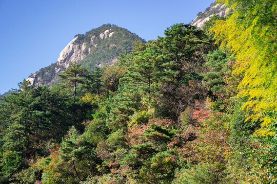 安徽黃山風景區(qū)