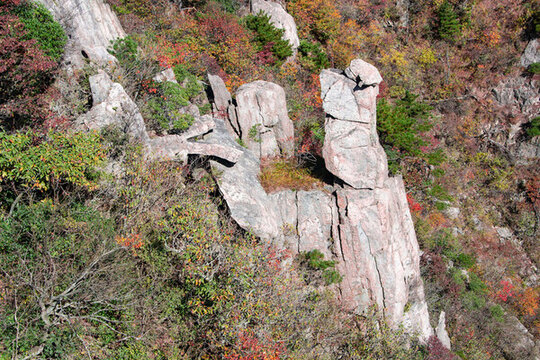 安徽黃山風(fēng)景區(qū)
