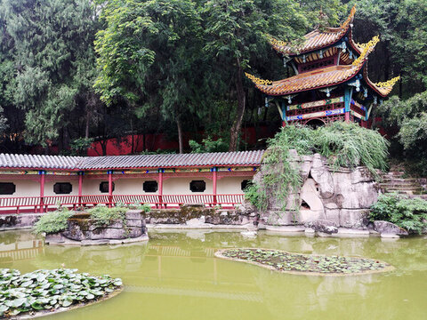 公園水景