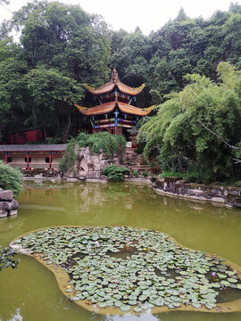 公園水景