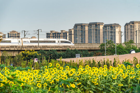 奔馳的動(dòng)車(chē)
