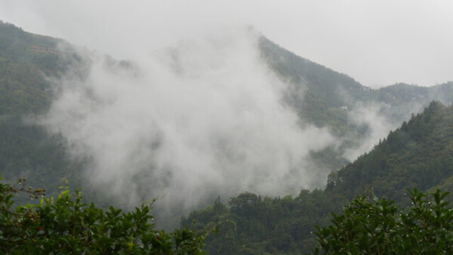 雨后云霧繚繞美不勝收