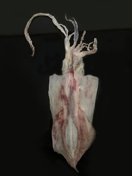 魷魚干