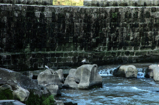 龍沱河堤