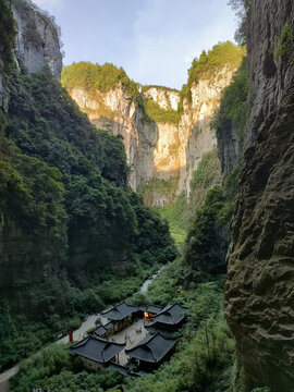 滿城盡帶黃金甲
