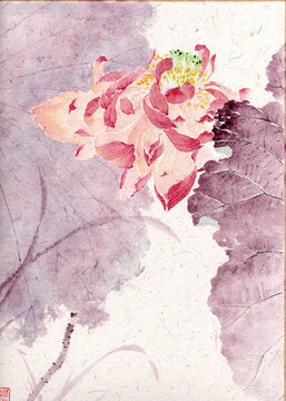 手繪掃描國(guó)風(fēng)國(guó)畫(huà)荷花蓮花