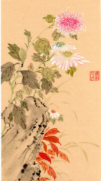 中式國(guó)風(fēng)國(guó)畫(huà)菊花菊石圖