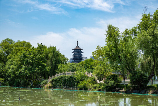 浙江嘉興南湖公園景區(qū)景觀