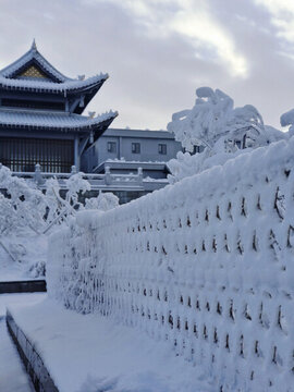 自然風(fēng)景積雪