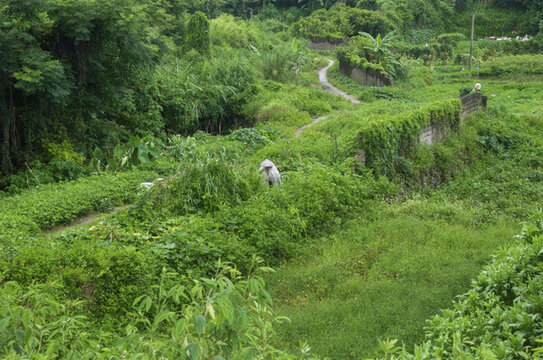 鄉(xiāng)土風(fēng)情