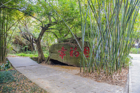 廈門植物園幸福園竹子與樹木