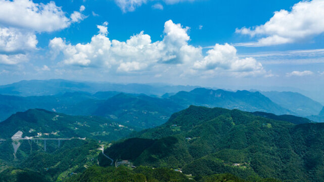 湖北恩施巴東野三關(guān)森林花海