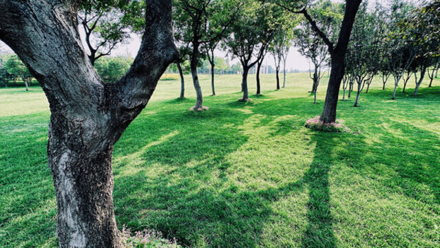 鄭東新區(qū)雙河公園