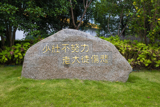 少壯不努力浮雕