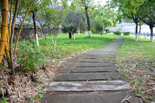 公園小路草坪灌木