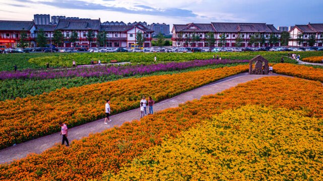 中國長春北湖花海景觀