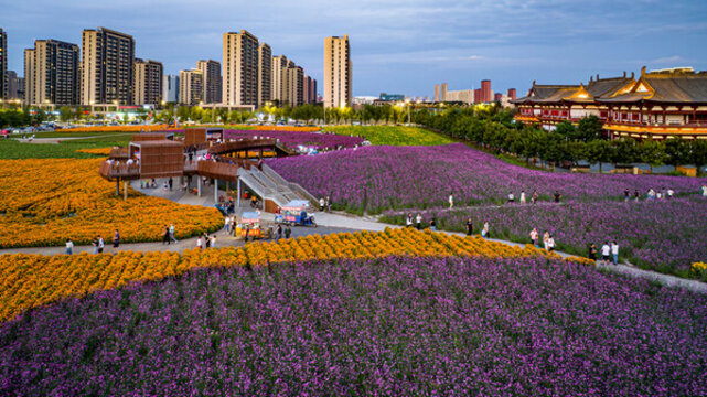 中國長春北湖花海景觀