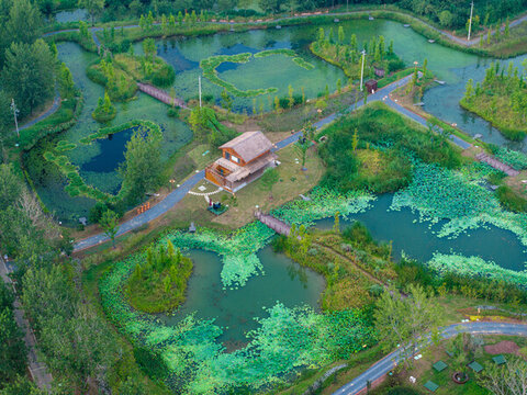 揚州生態(tài)科技新城香草園