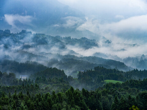 湖北恩施鶴峰木耳山茶園