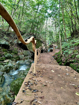 森林中的棧道