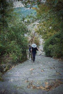 山林人家