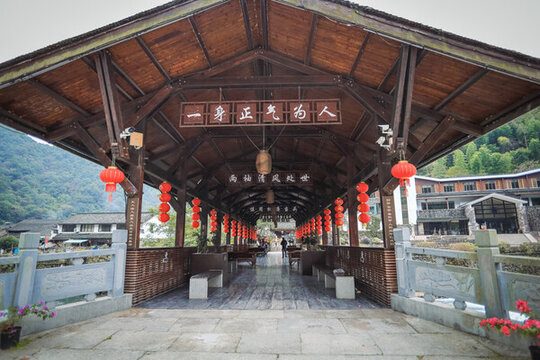寧波柿子林