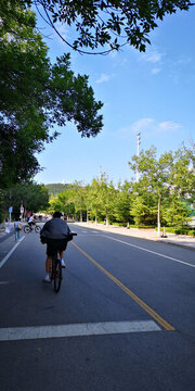 校园骑自行车