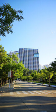 山大威海分校