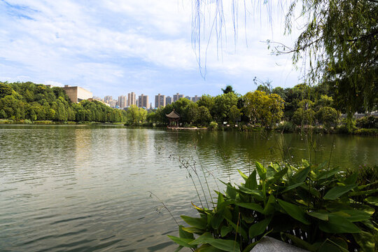 濕地湖泊風(fēng)光