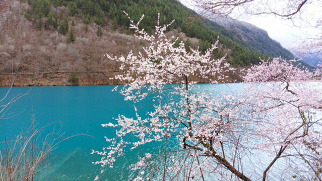 九寨溝