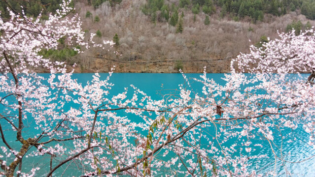 九寨溝