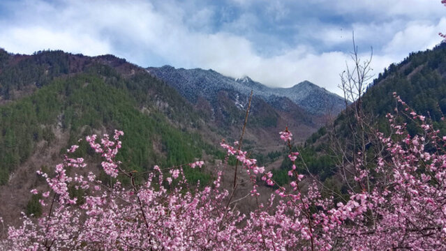 九寨溝