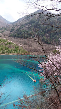 九寨溝