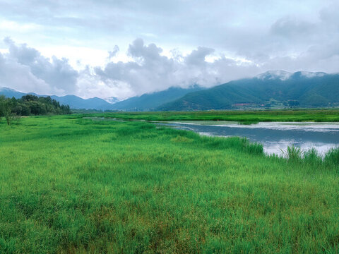 瀘沽湖草海