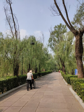 公園