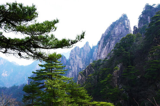 黃山風(fēng)景