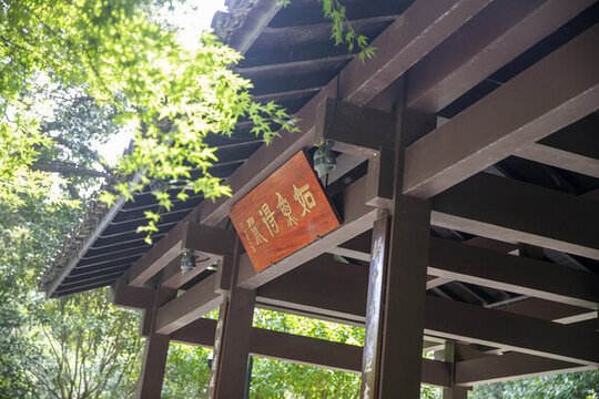 玉泉魚躍