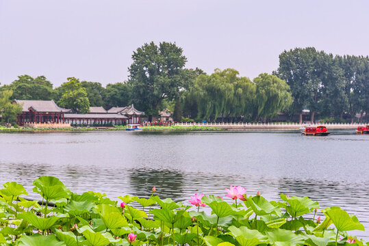 北京什剎海公園的荷花池