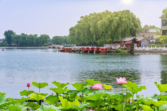 北京什剎海公園的荷花池
