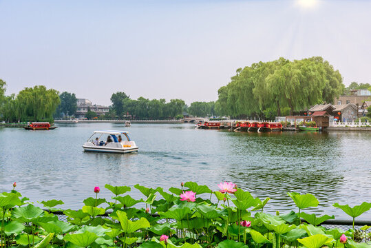 北京什剎海公園的荷花池