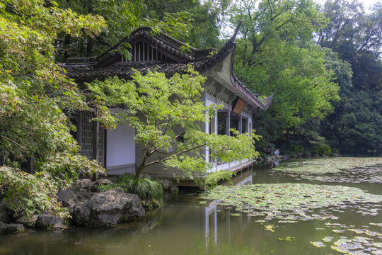 杭州植物園山水園