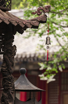 丁香花與古建筑