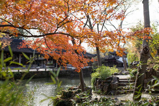 拙政園秋景