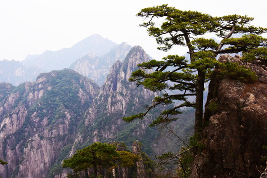 黃山
