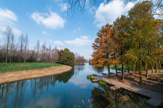 濕地公園自然美景