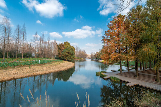 上海后灘濕地公園河畔美景